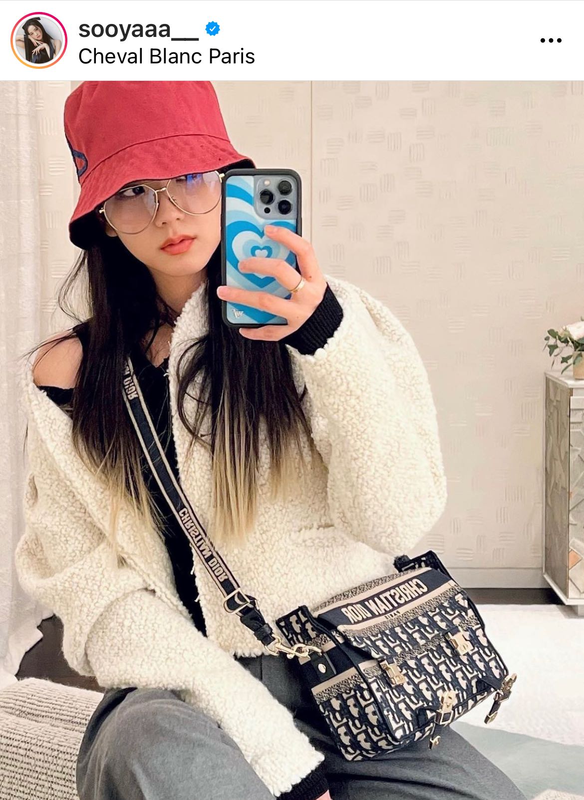 100 Dior camp bag LINE SHOPPING