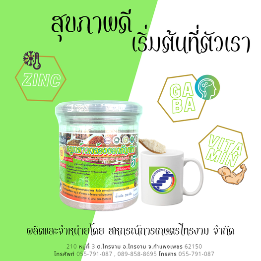 จมูกข้าวกล้องงอกธัญพืช