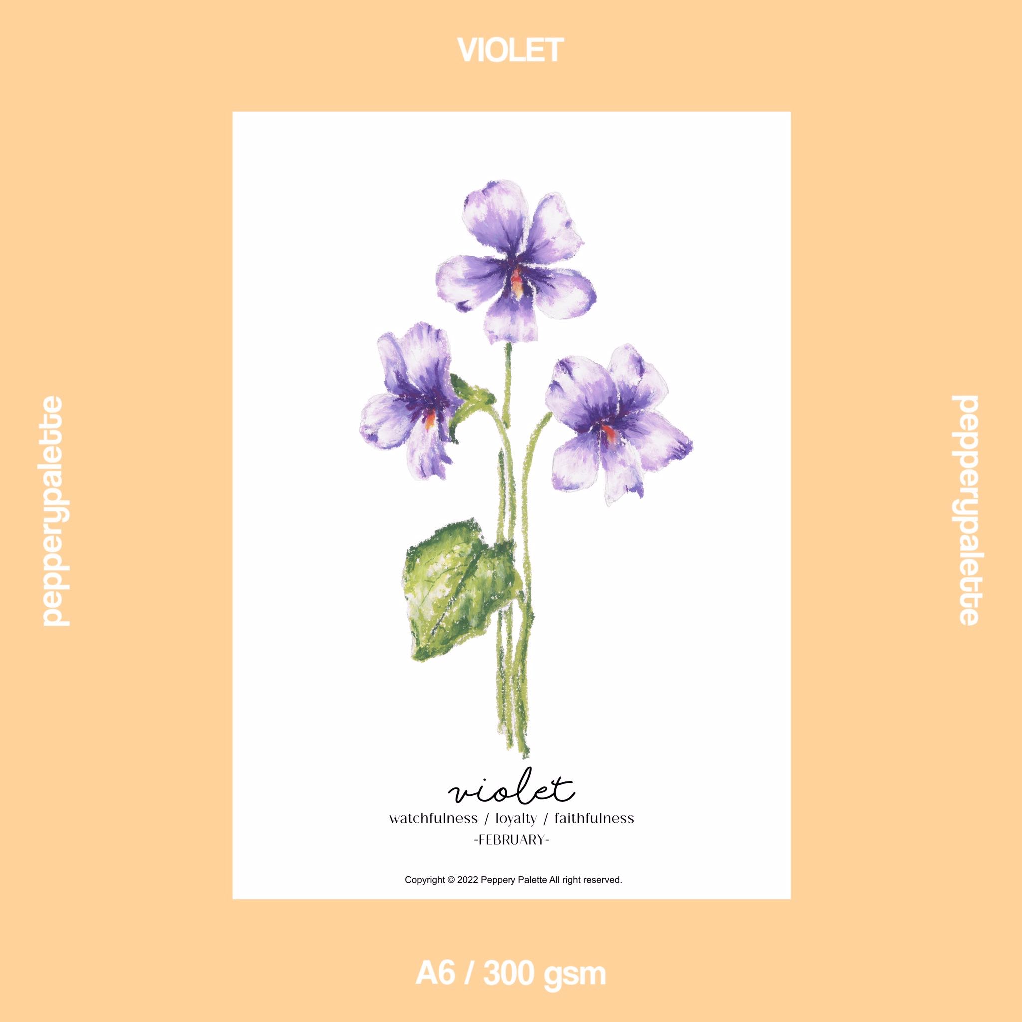 FEB violet - A6