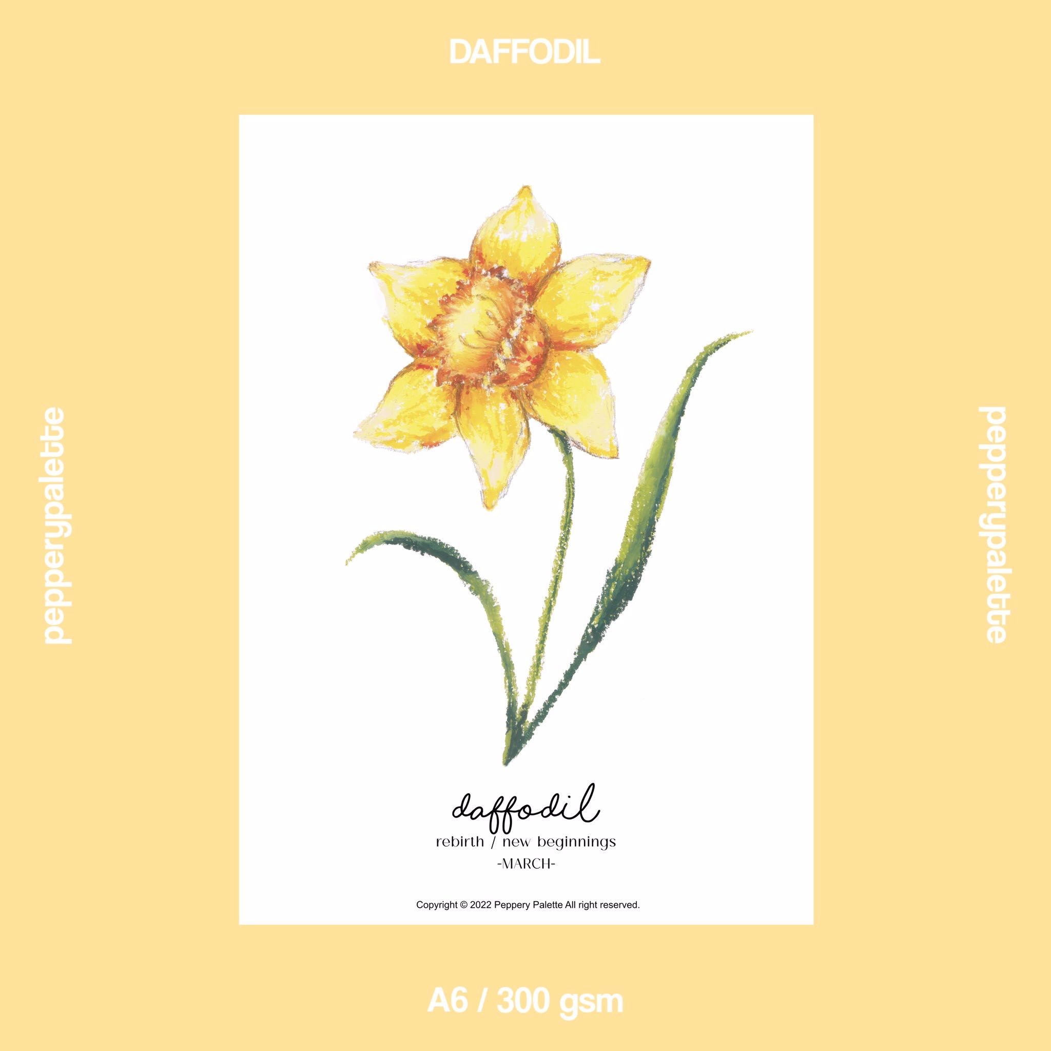 MAR daffodil - A6