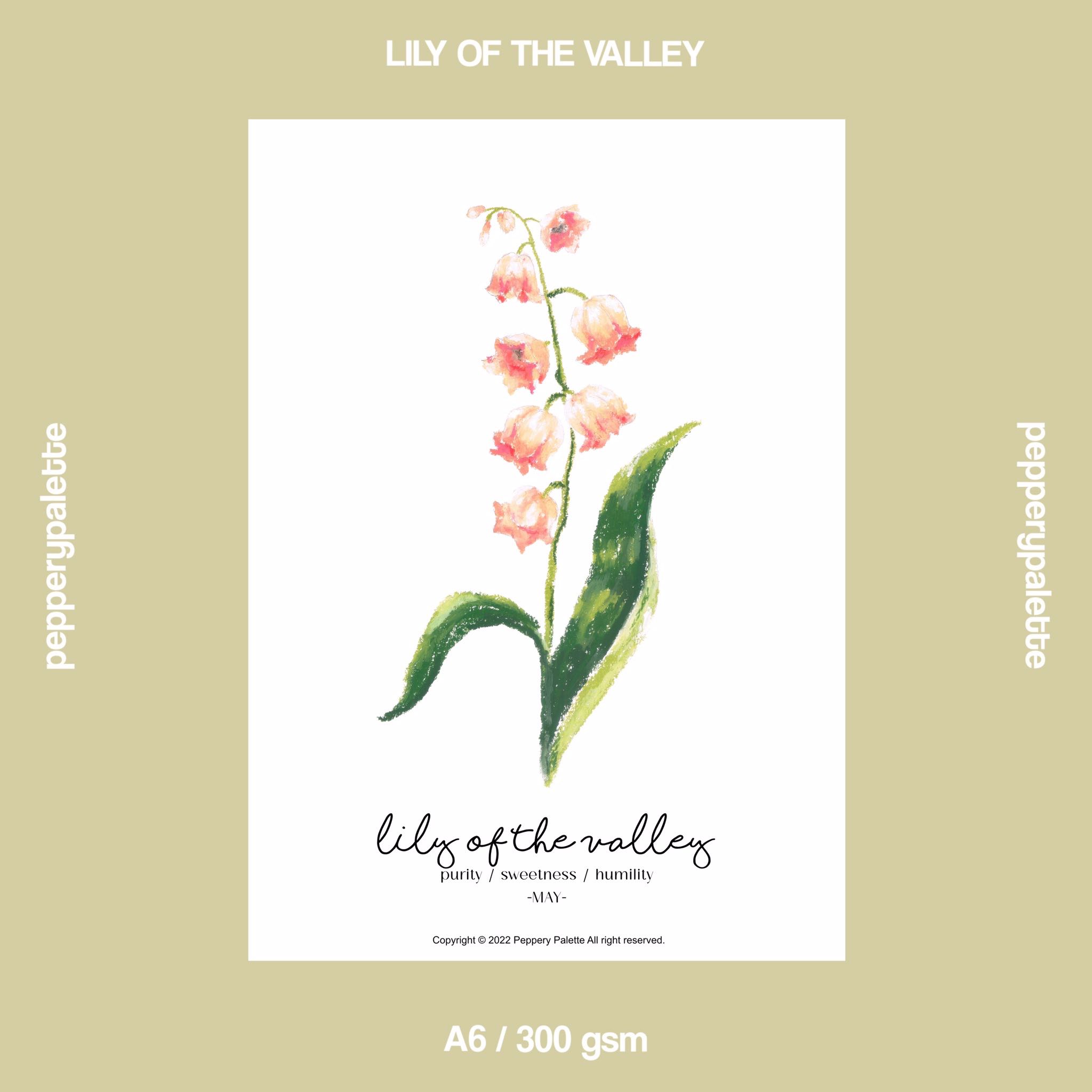 MAY lily of the valley - A6