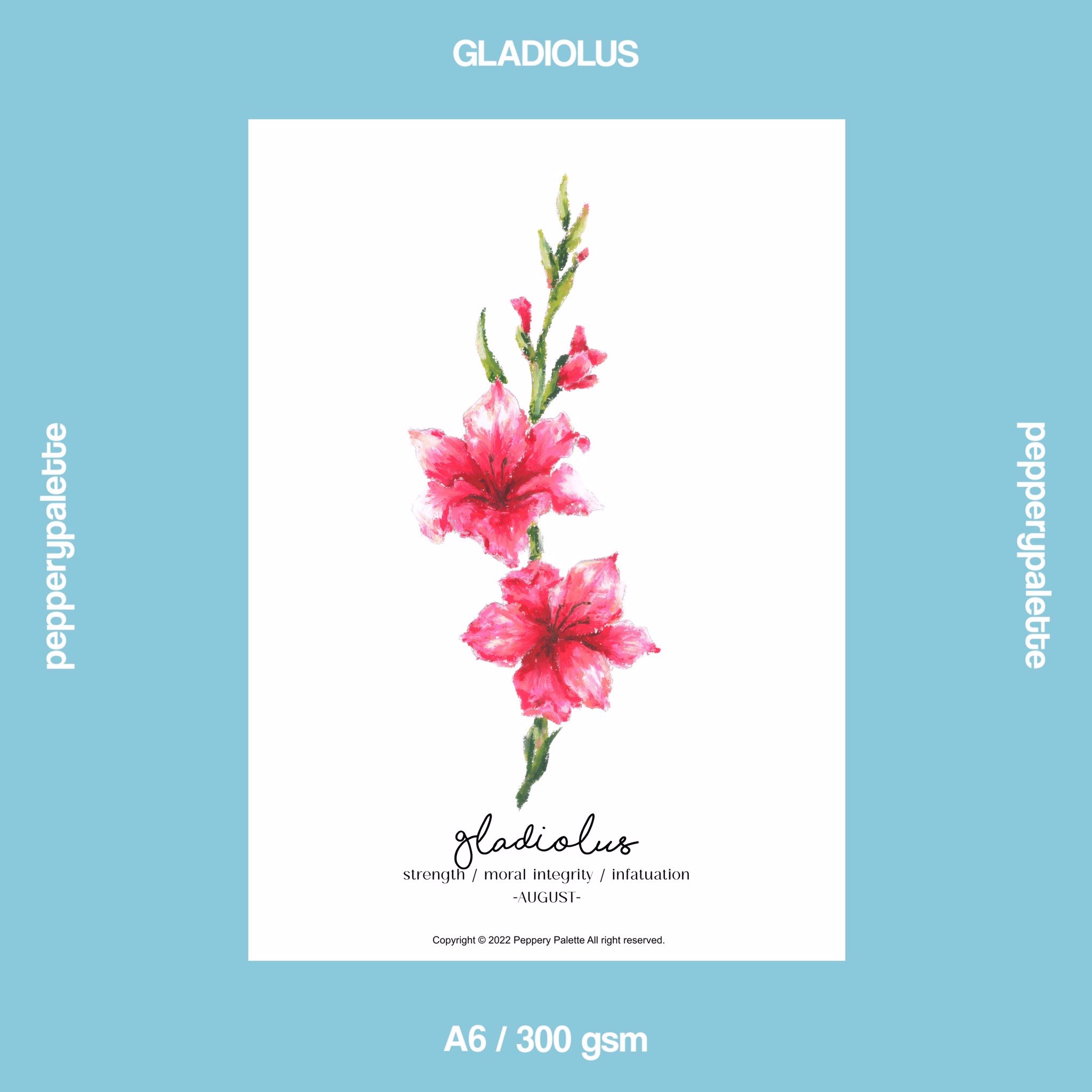 AUG gladiolus - A6