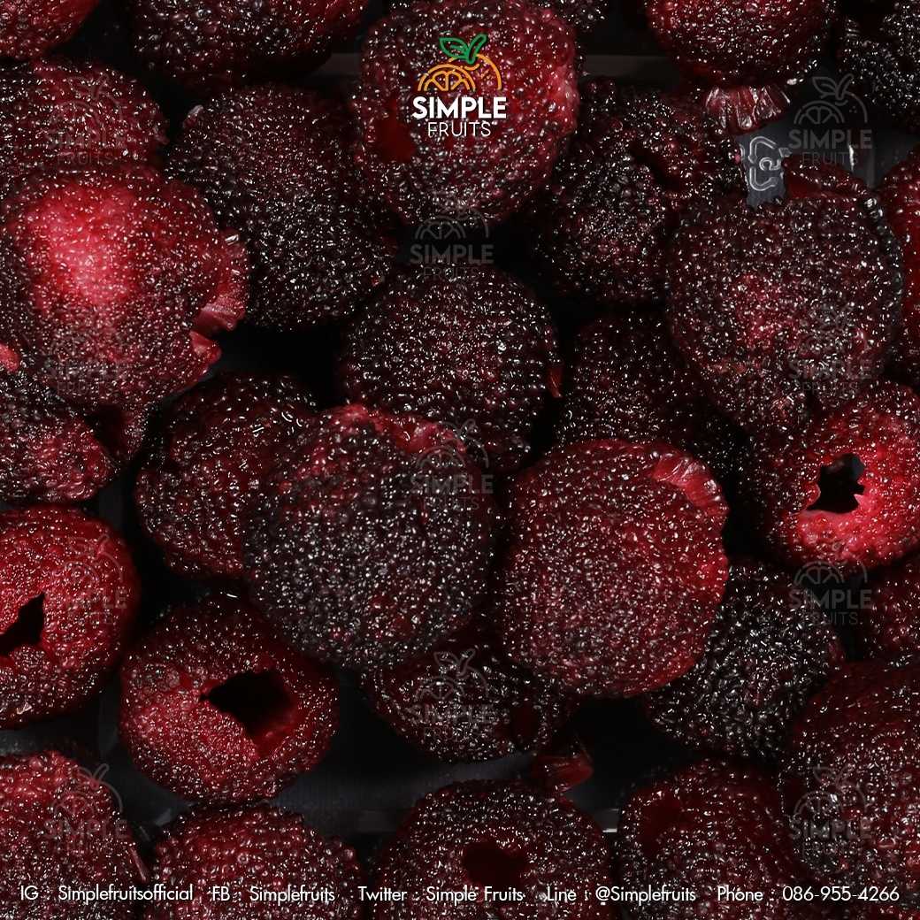 เบย์เบอร์รี Bayberry
