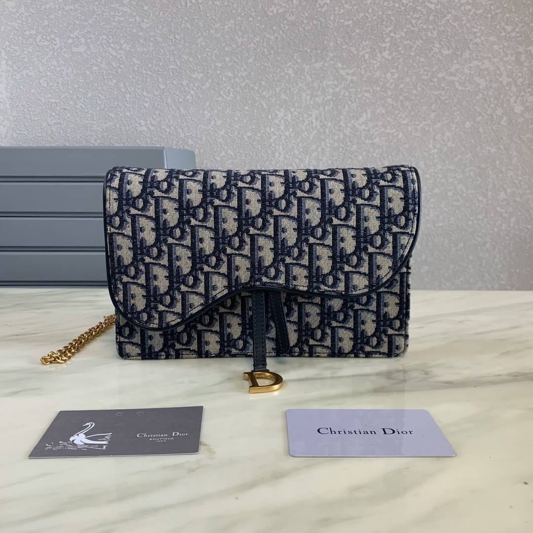 Dior saddle pouch 
