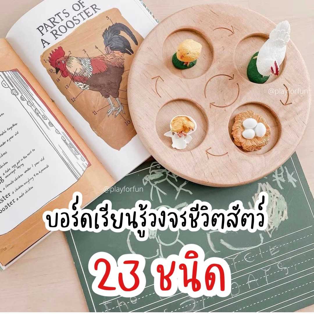(พร้อมส่ง!) บอร์ดเรียนรู้ชีวิตสัตว์ 23 ชนิด