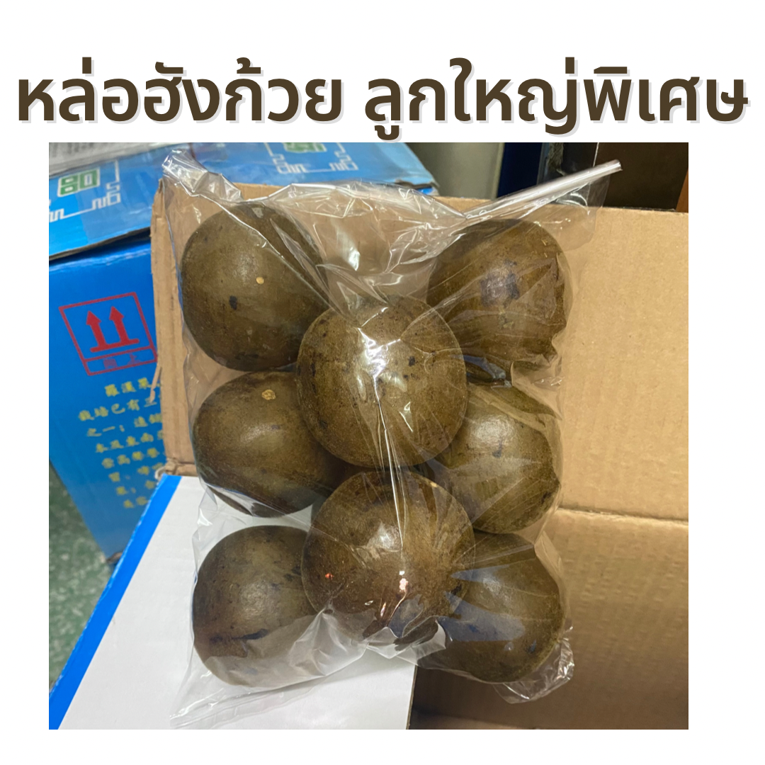 หล่อฮังก้วยไซส์ใหญ่ คัดพิเศษ (10ลูก)