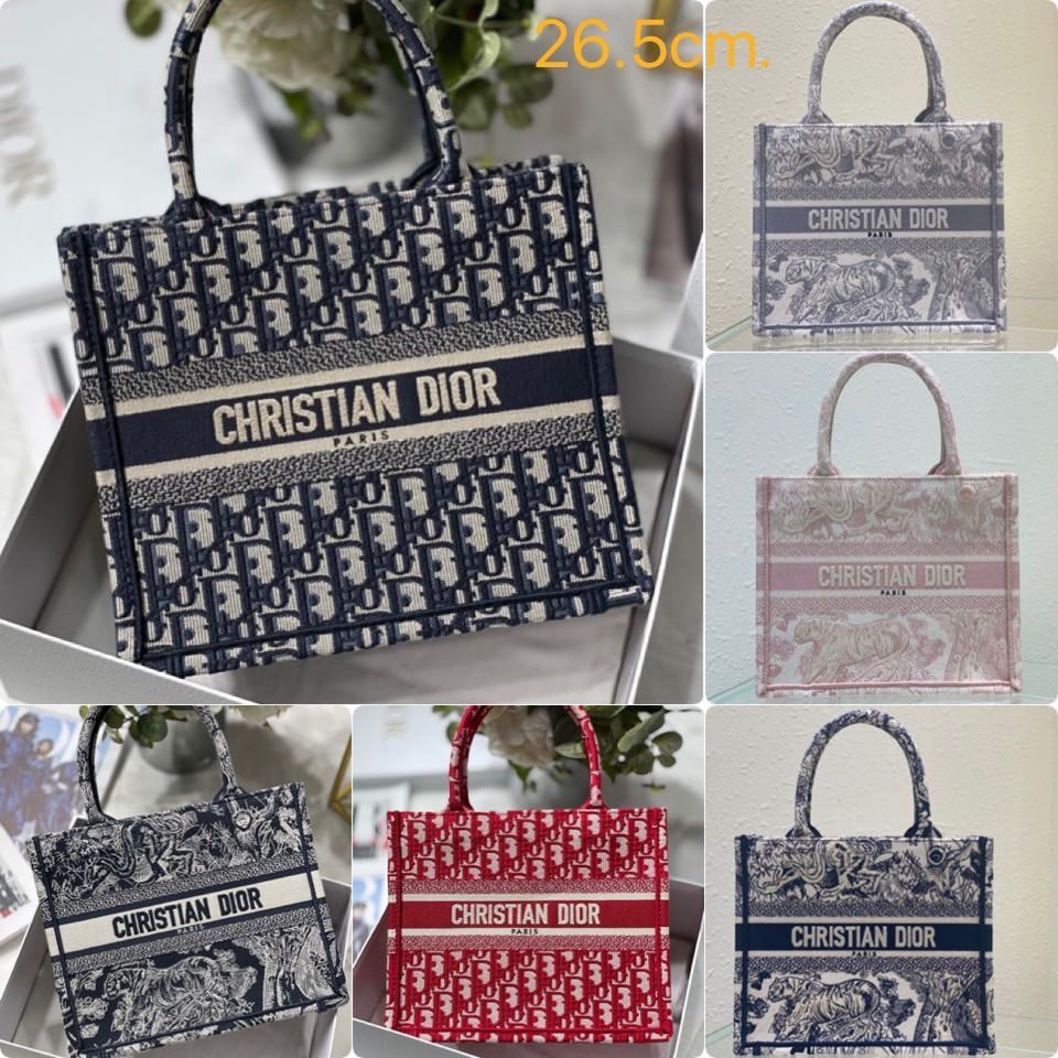 Dior new small book tote 