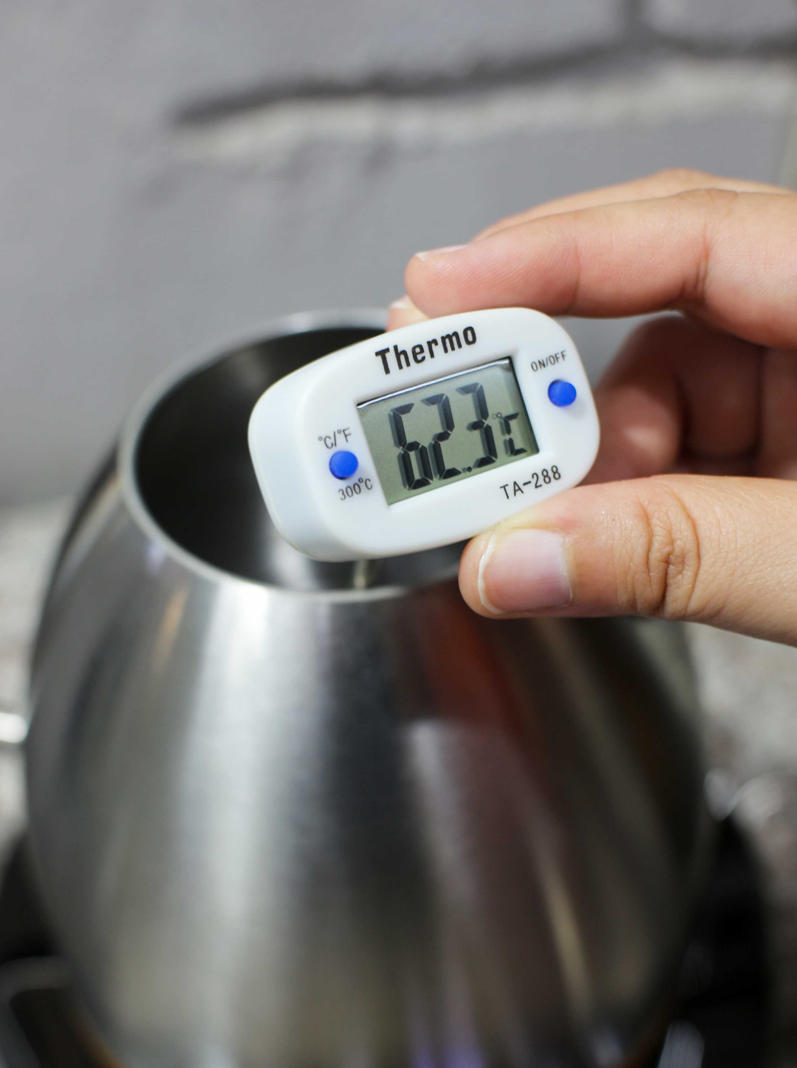 Digital Thermometer