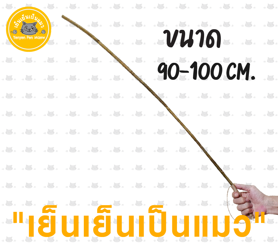 ไม้เรียว หวาย ก้านไม้หวาย หวายแท้ หวายเส้น 90-100