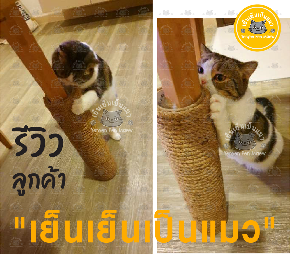 ที่ลับเล็บแมว ที่ฝนเล็บแมว ที่นอนแมว คอนโดแมว ของเล่นแมว ทรงกระบอก แมว 42x10cm.