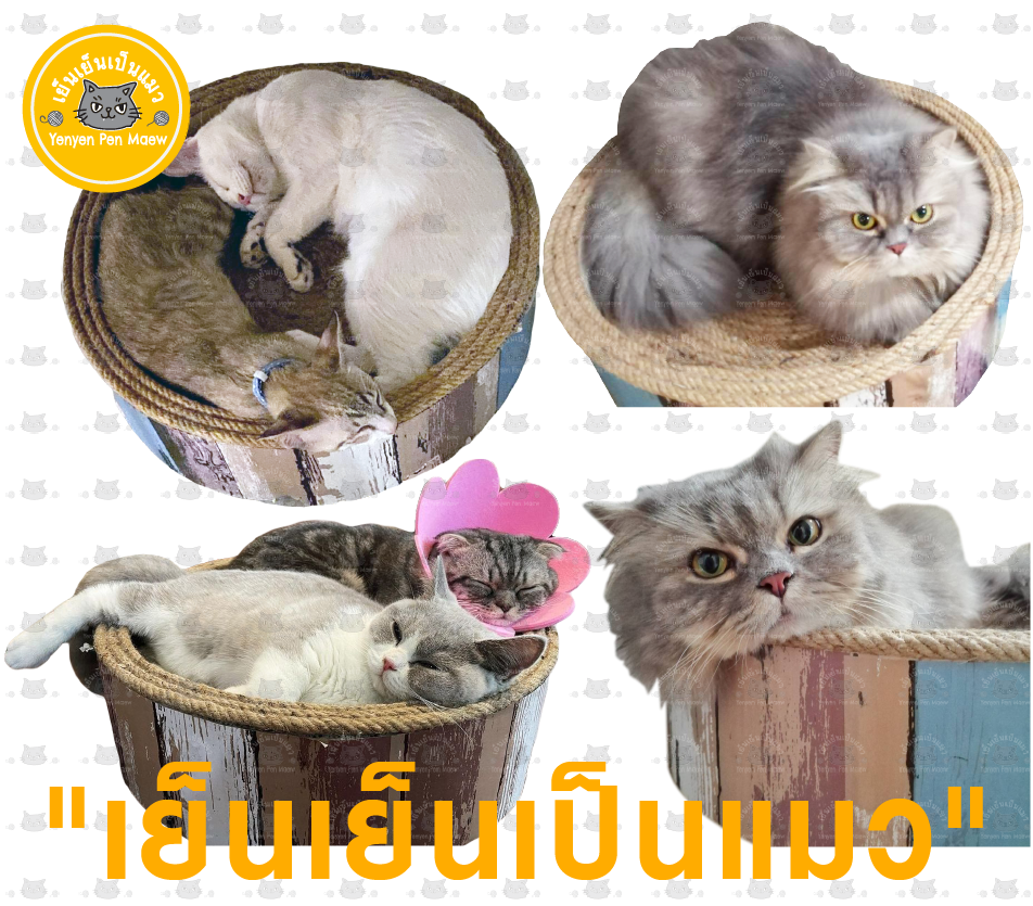 ที่ลับเล็บแมว ที่ฝนเล็บแมว ที่นอนแมว คอนโดแมว ของเล่นแมว ทรงอ่าง แมว 46x13cm.