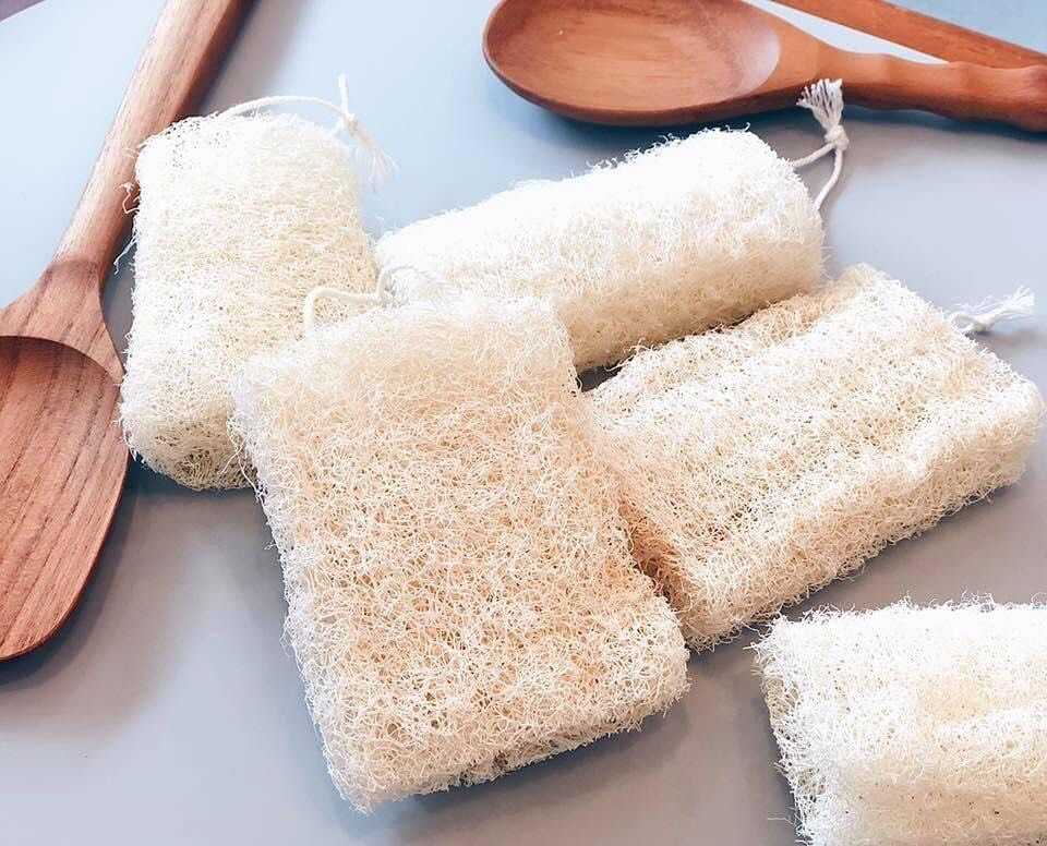 ฟองน้ำล้างจานจากใยบวบ (Natural Dish Sponge)