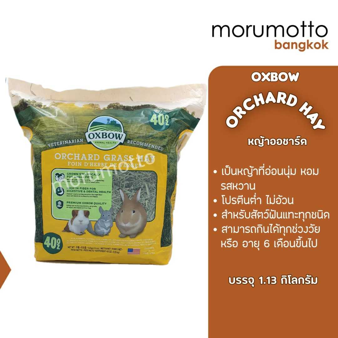 OXBOW Orchard Hay หญ้าออชาร์ด หญ้าสำหรับกระต่าย แกสบี้ ชินชิลล่า และสัตว์ฟันแทะอื่นๆ (40oz/1.13kg)