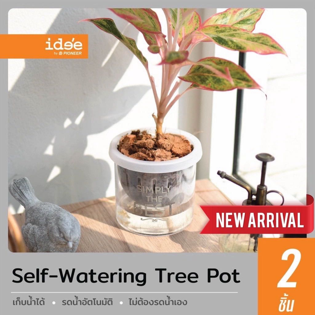 ￼ide'e [2 PCS] NEW!! กระถางต้นไม้รดน้ำอัตโนมัติ ขนาด 4 นิ้ว ทรงเตี้ย รุ่น Self-watering (PN628A) 