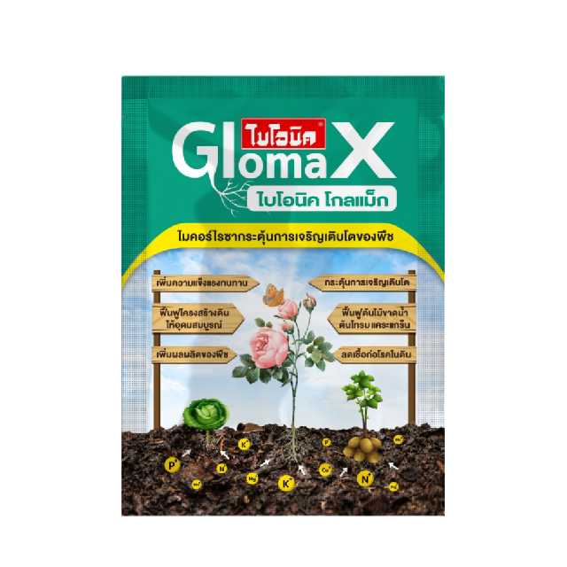 ไบโอนิค โกลแม็ก (ไมคอร์ไรซ่า) 100 g.