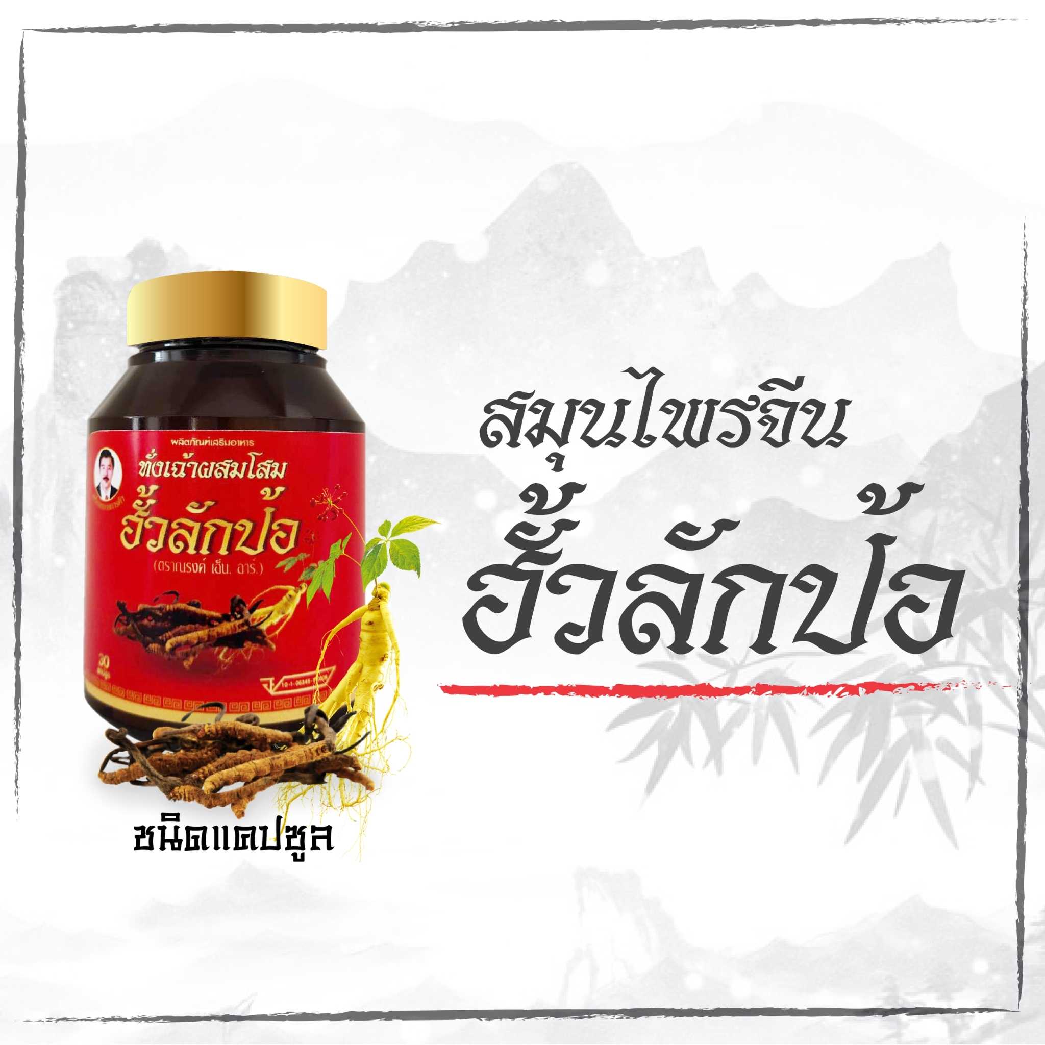 สมุนไพรจีนฮั้วลักป้อ [2กป]