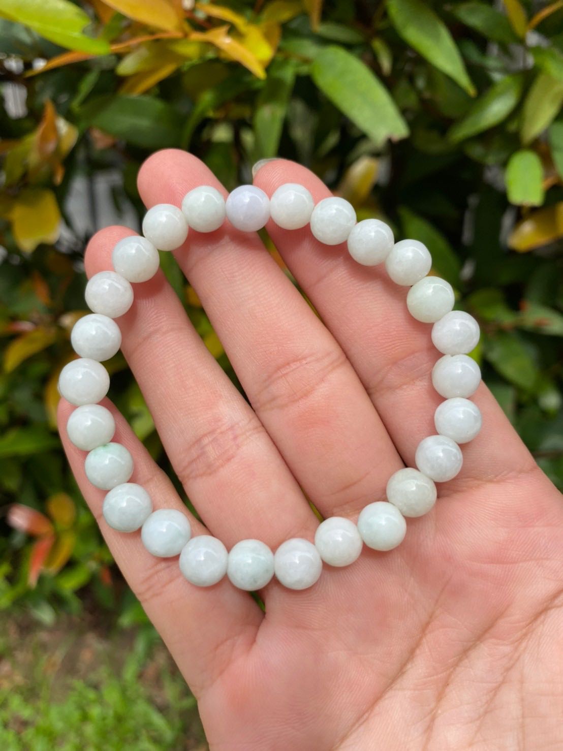 Natural Milky  Green Jade Bracelet 