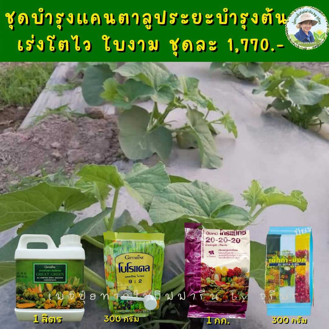 ปุ๋ยทางใบกิฟฟารีนชุดบำรุงต้นแคนตาลูป ครบสูตร