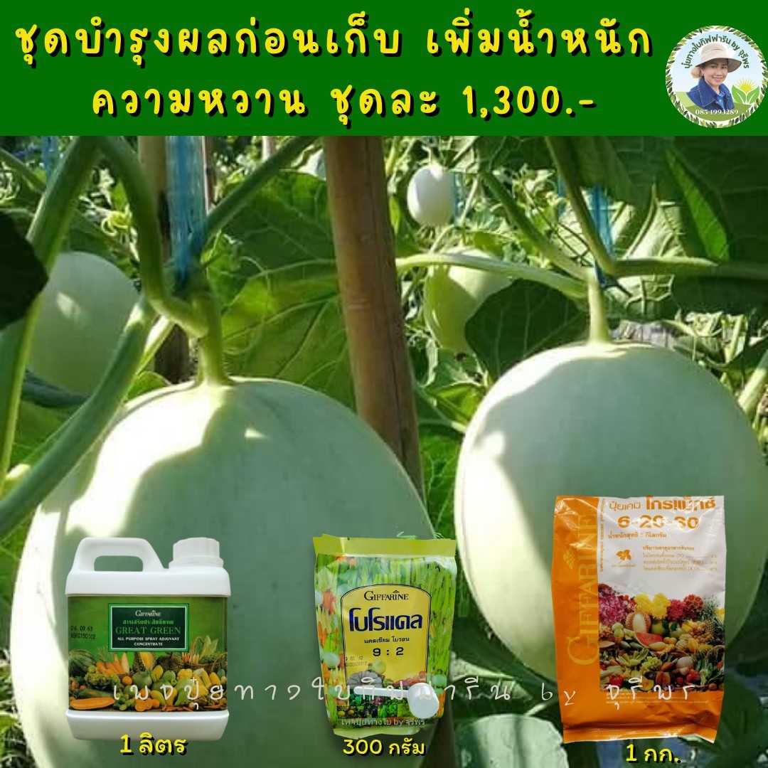 ปุ๋ยชุดบำรุงผลแคนตาลูป