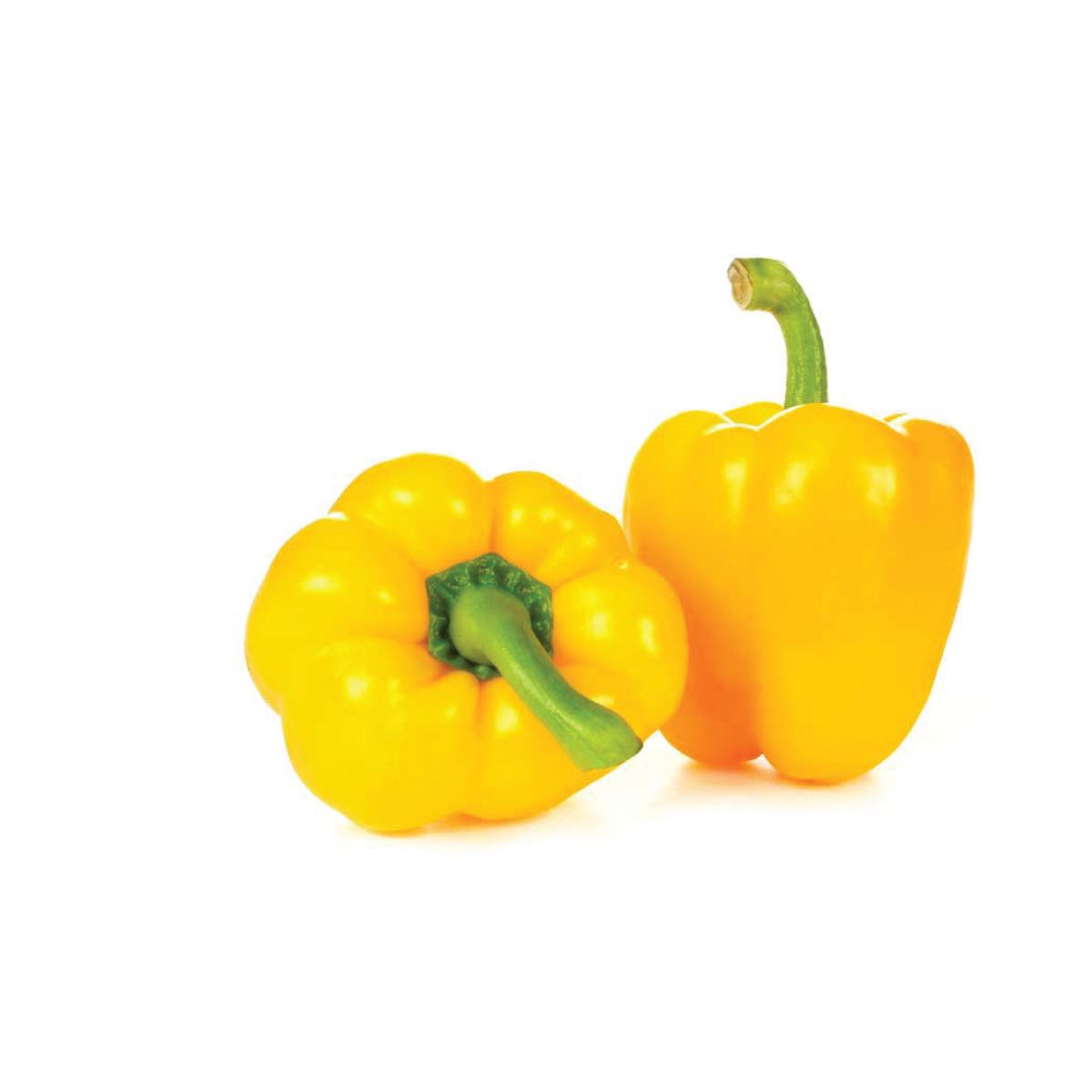 พริกยักษ์เหลือง : Yellow Bell Pepper