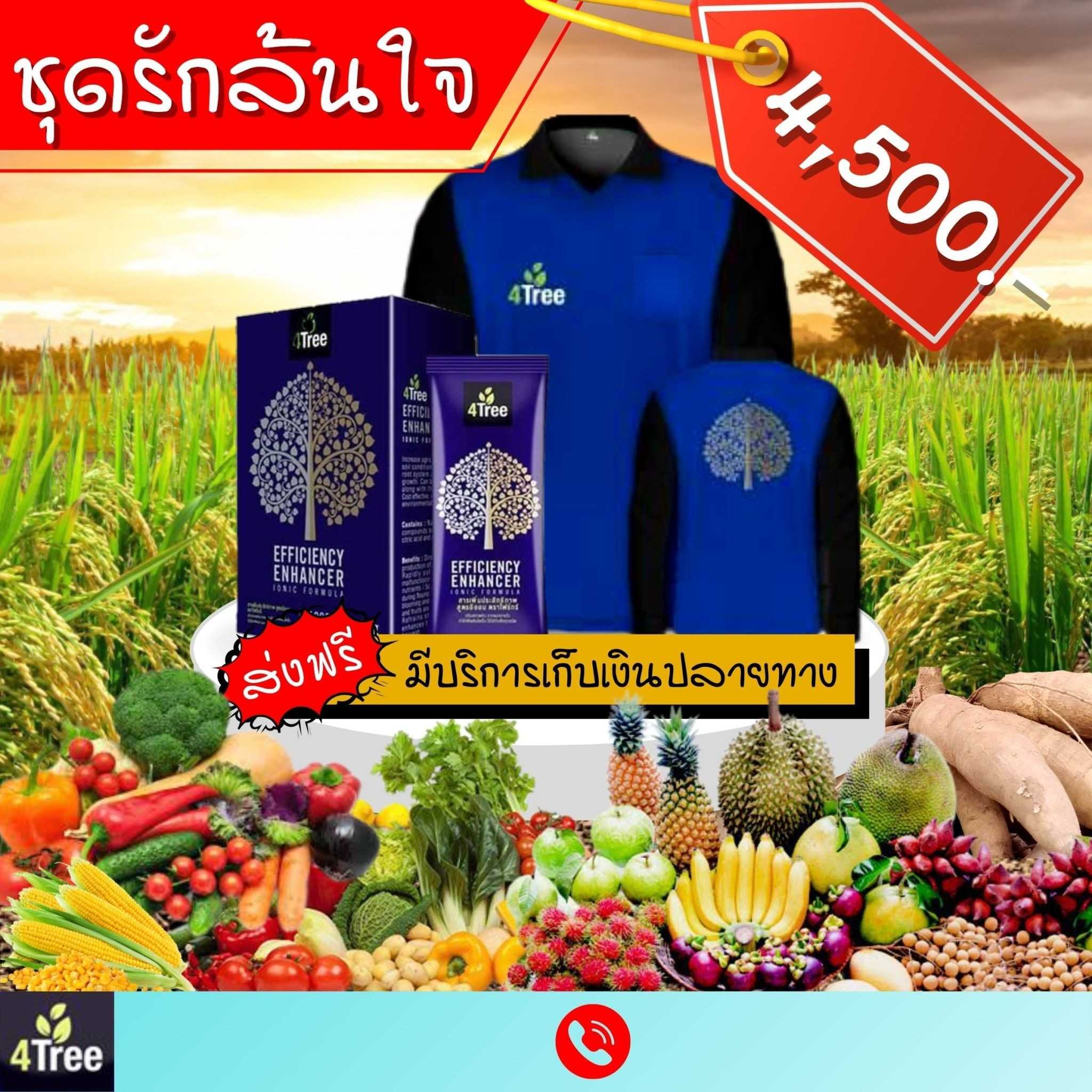 4 TREE  1  กล่อง แถมเสื้อ 1  ตัว