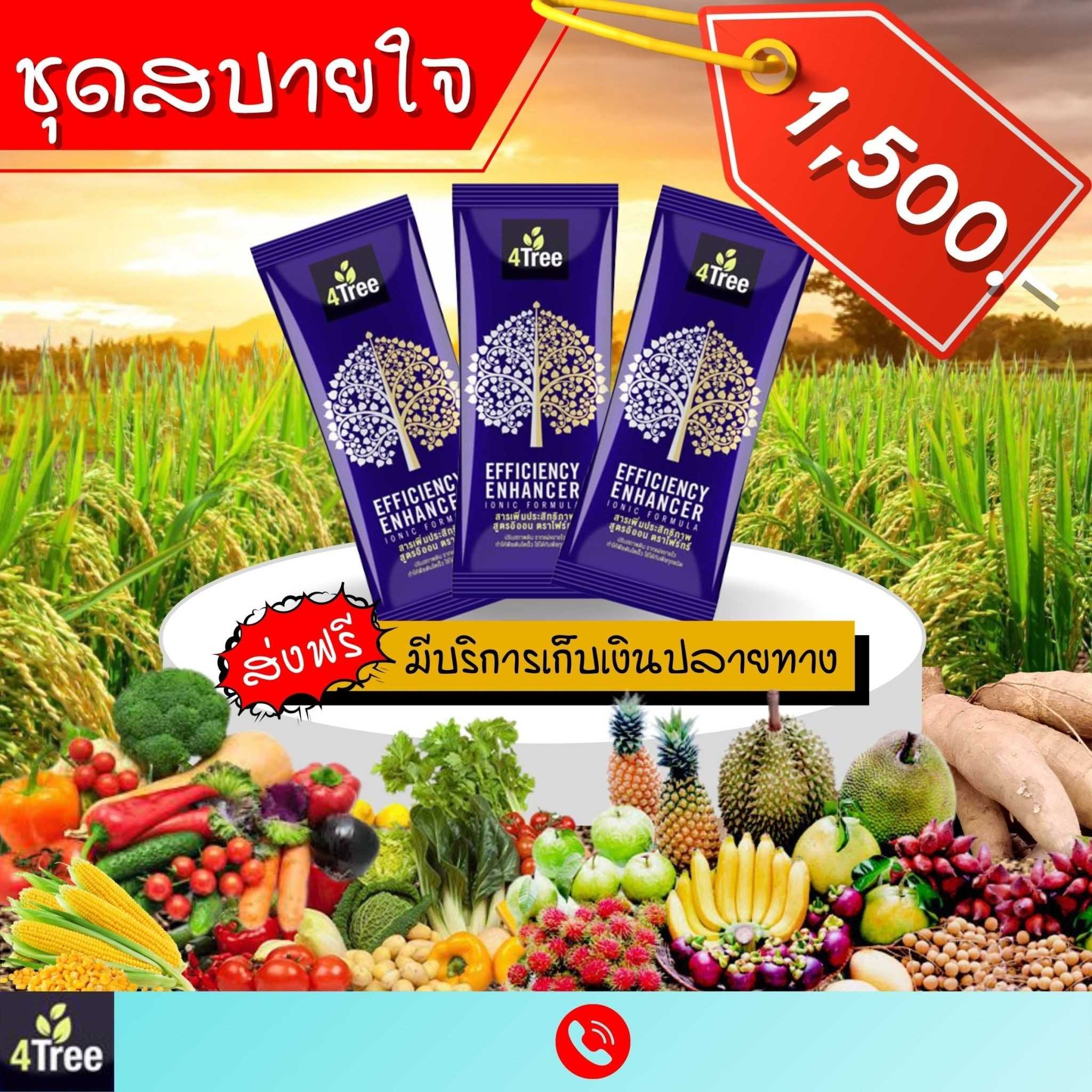 4 TREE  3 ซอง