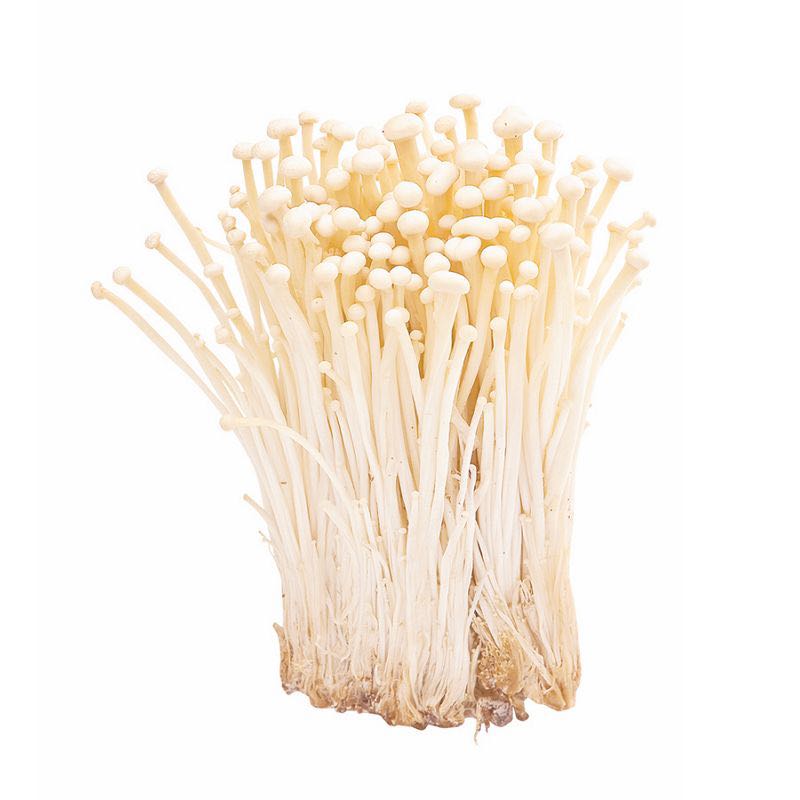 เห็ดเข็มทอง : Enoki Mushroom
