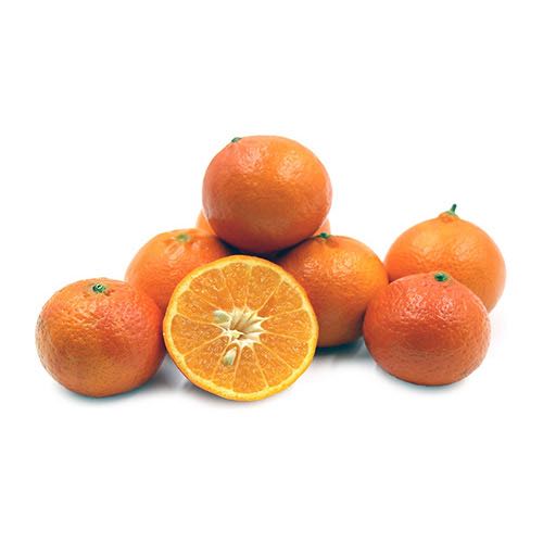 ส้มสายน้ำผึ้ง : Orange