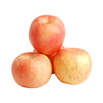 แอปเปิ้ลฟูจิ : Fuji Apple