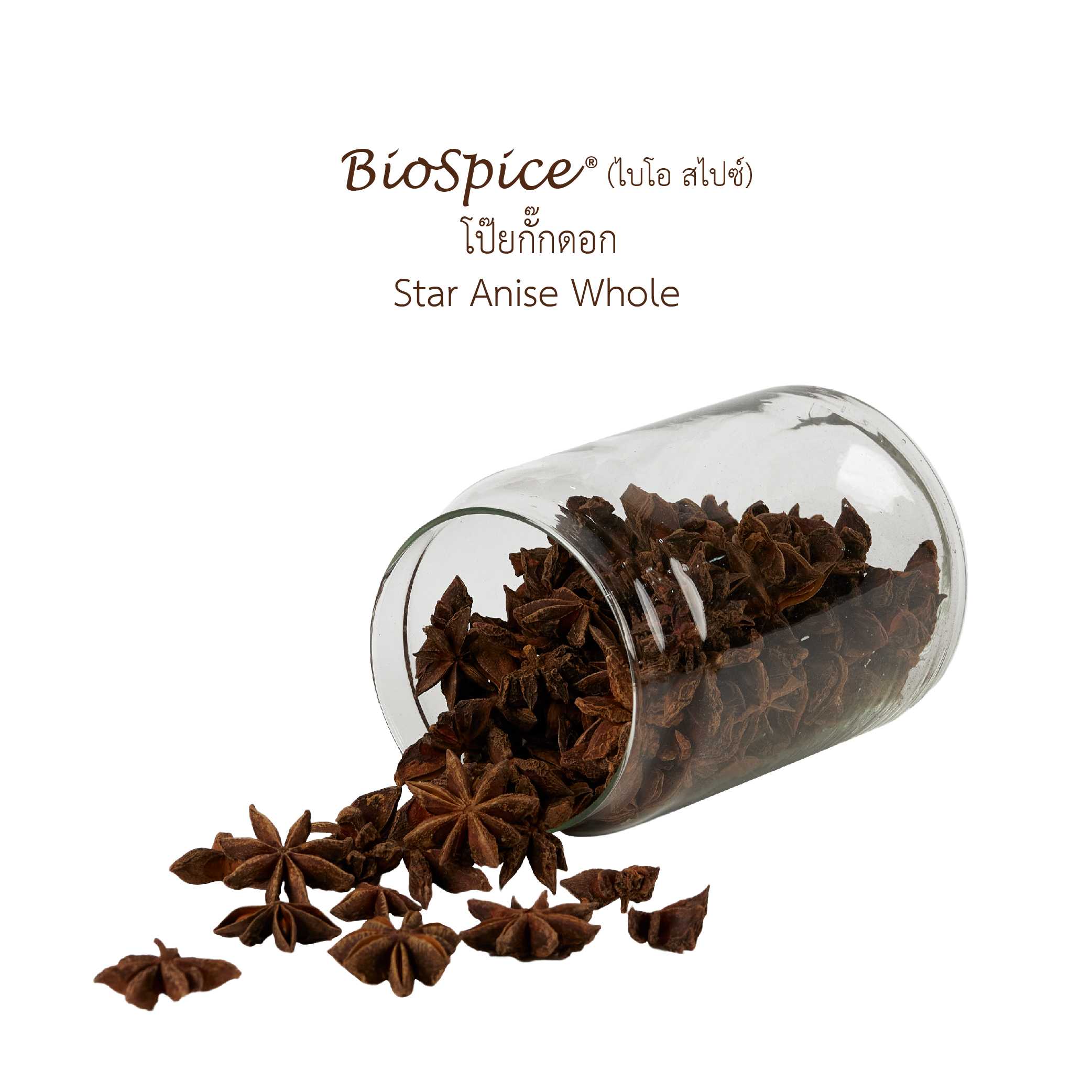 โป๊ยกั๊กดอก Star Anise Whole (100 g.)