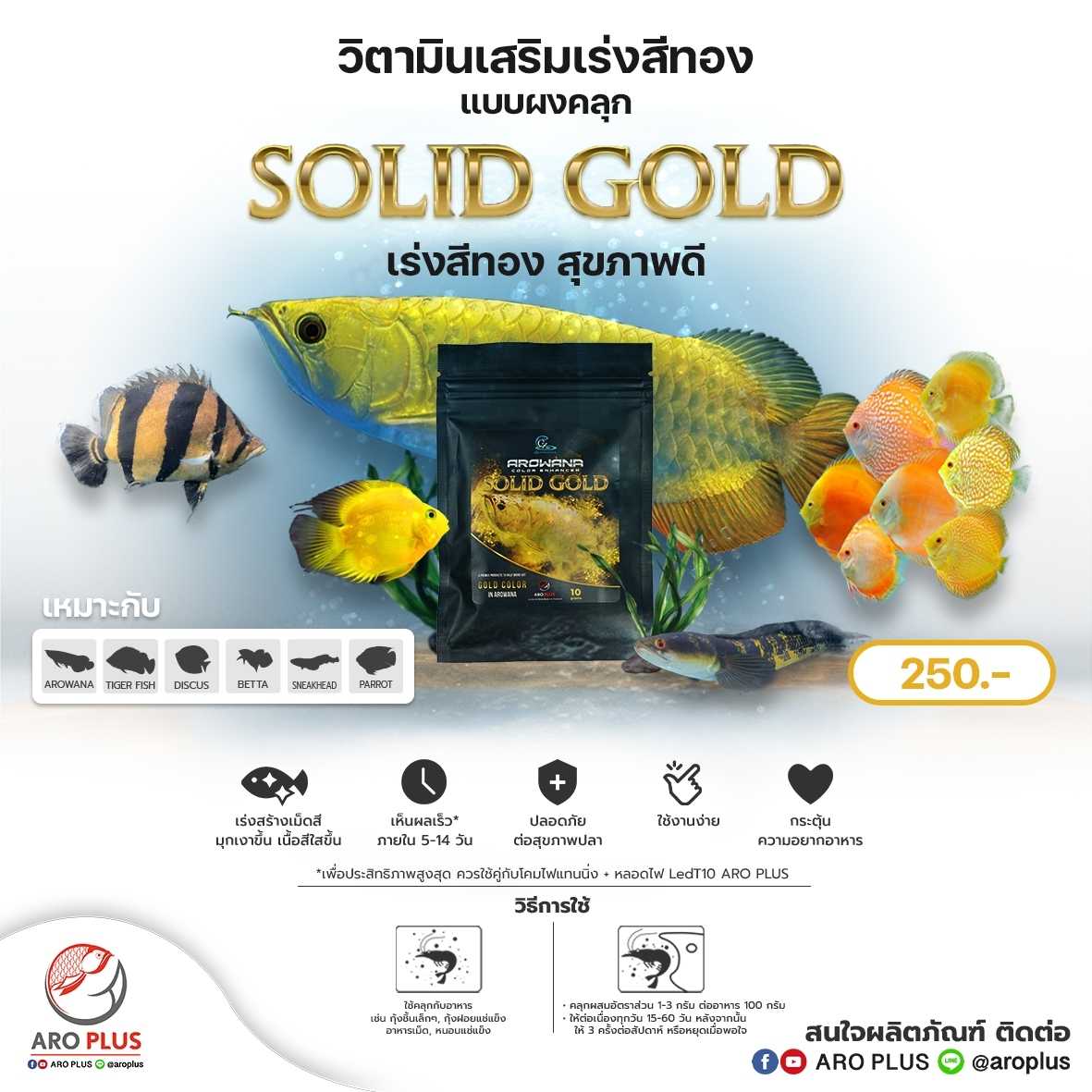 Solid Gold วิตามินเสริมเร่งสีทอง แบบผง l เร่งสีทอง สุขภาพดี 💛💪