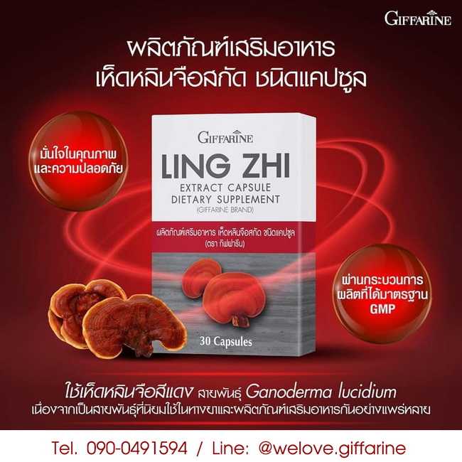 กิฟฟารีน ยาเห็ดหลินจือสกัด ชนิดแคปซูล Giffarine Ling Zhi #อาหารเสริม