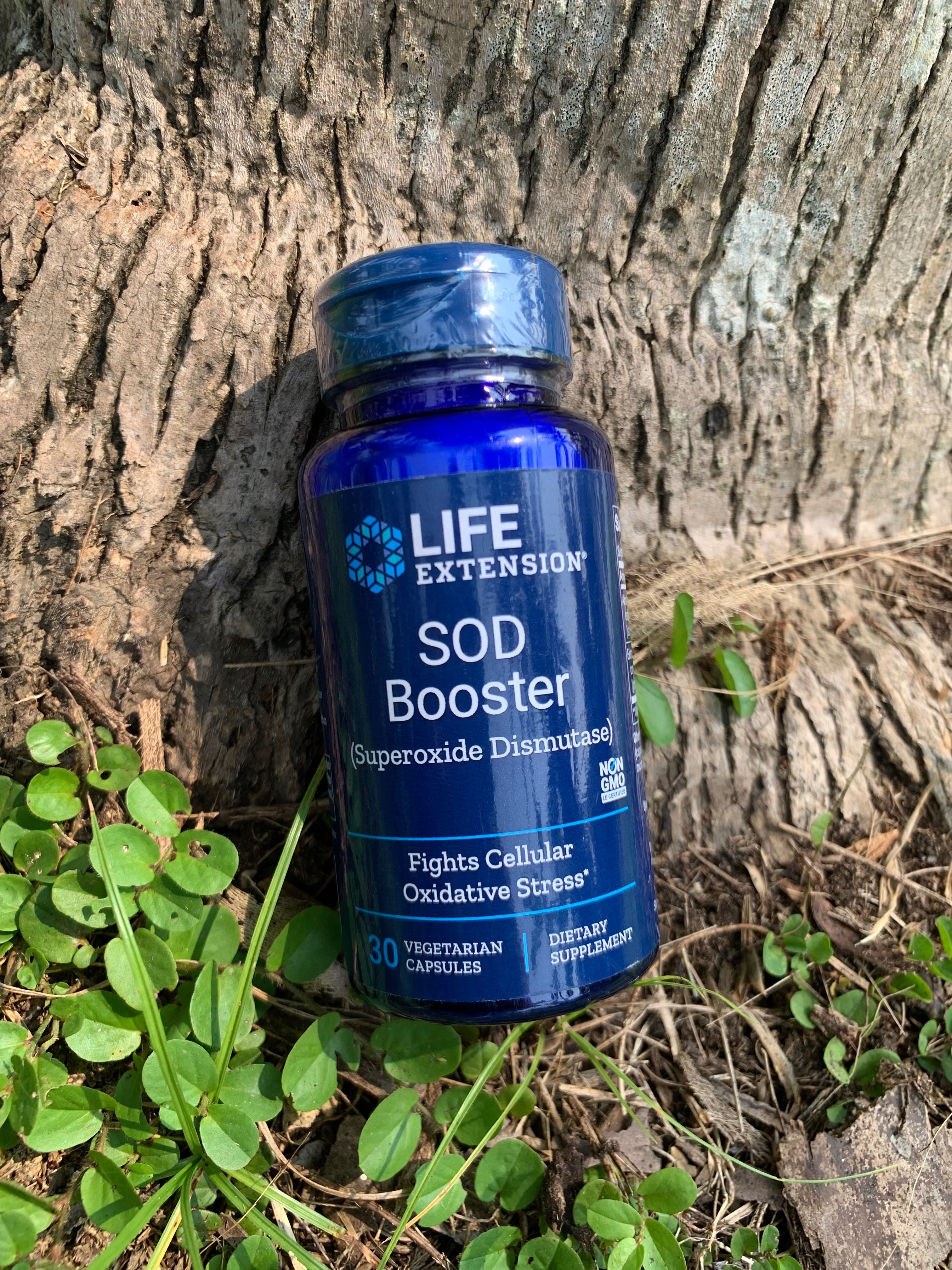 อ่อนเยาว์ ชลอวัย SOD booster Life extension ซอด