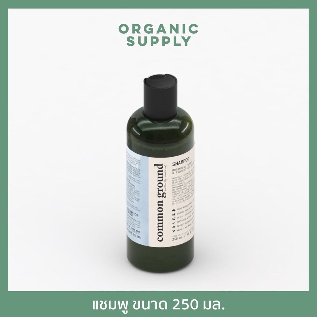 Common Ground Shampoo Organic แชมพูออร์แกนิค จากสารสกัดน้ำมันอะโวคาโด 250ml