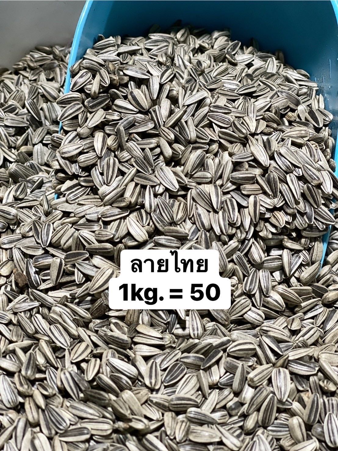 อาหารนก เมล็ดทานตะวันลาย(ไทย)