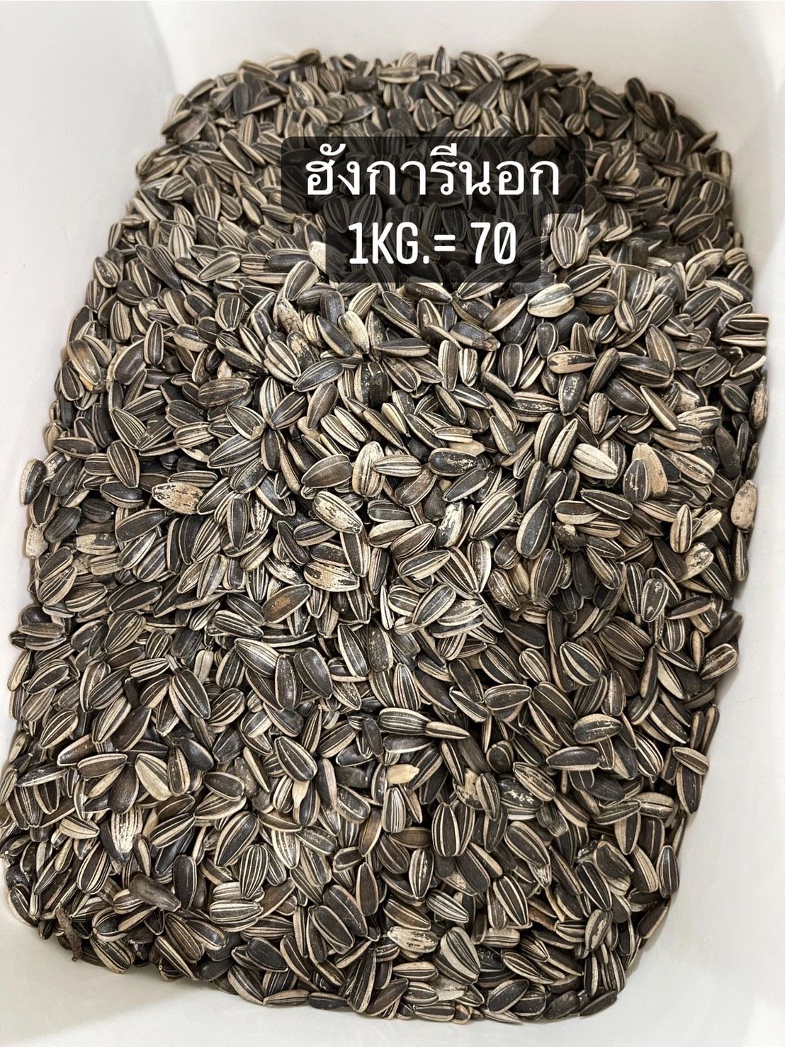 อาหารนก ทานตะวันฮังการี