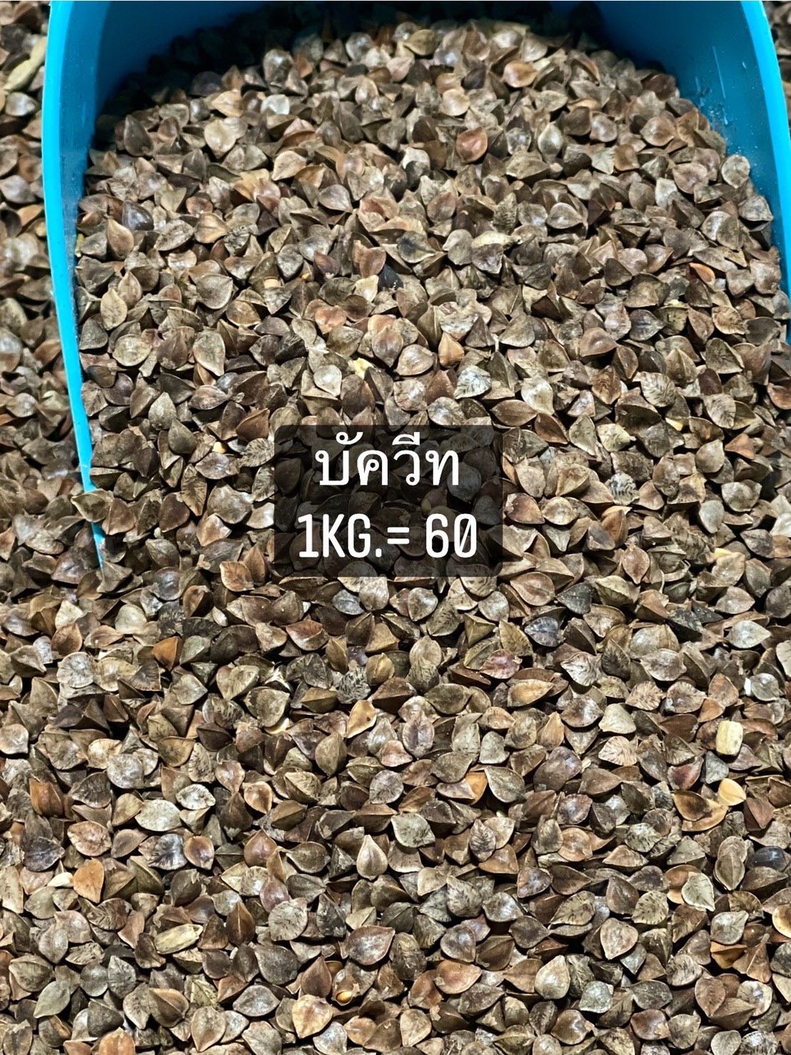 อาหารนก บัควีต Buckwheat