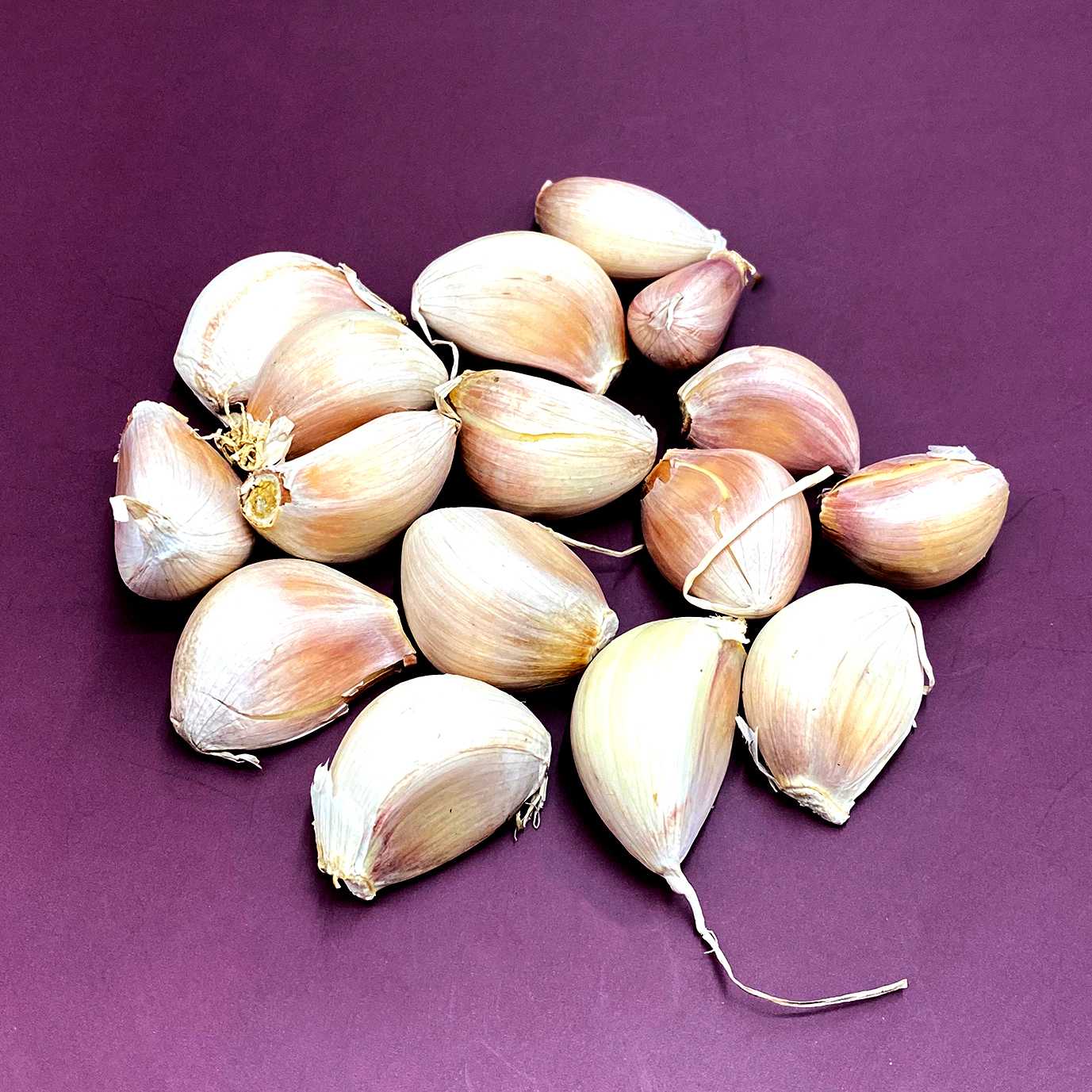 กระเทียมจีนใหญ่ Garlic