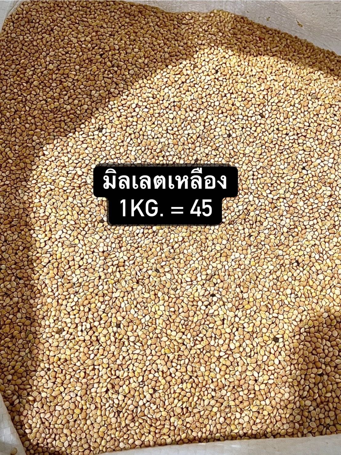 อาหารนก มิลเลตเหลือง