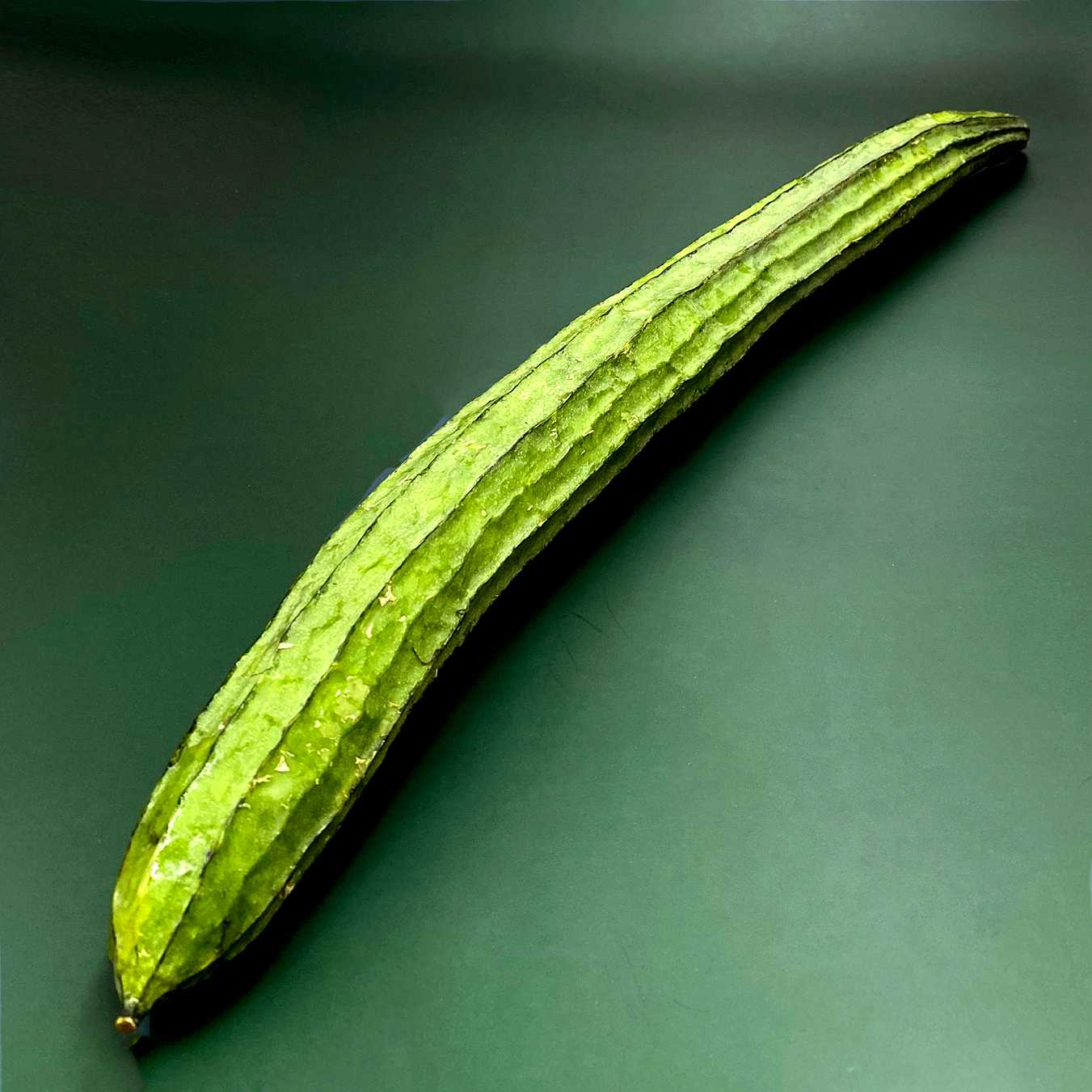 บวบ Thai Zucchini /Pc.