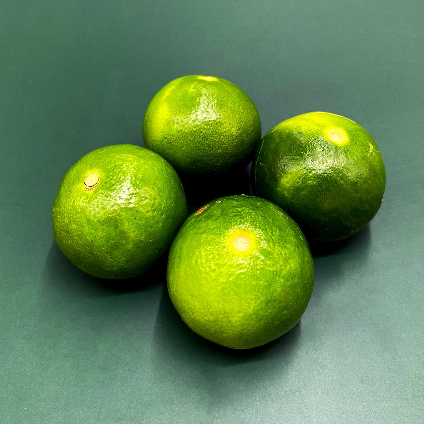 มะนาวแป้น Lime /4pcs.