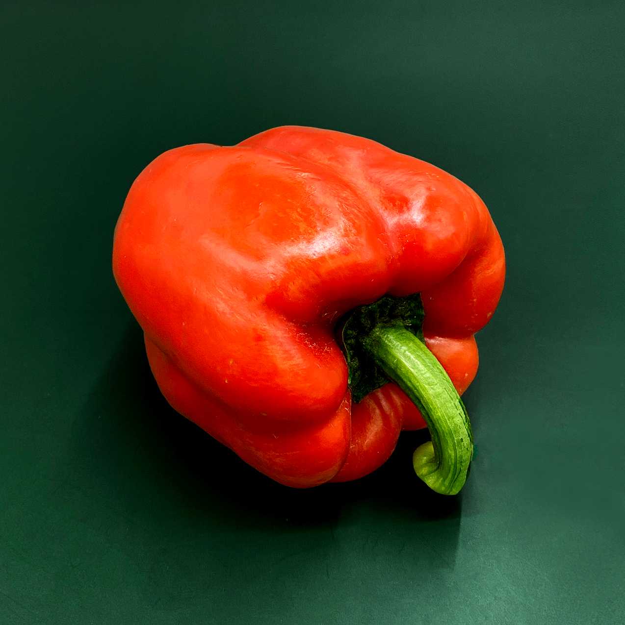 พริกหวานยักษ์สีแดง  Red Bell Pepper /Pc.