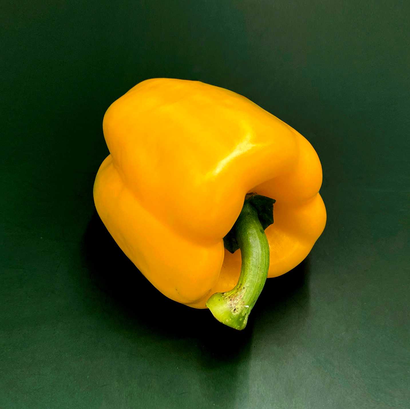 พริกหวานยักษ์สีเหลือง  Yellow Bell Pepper /Pc.