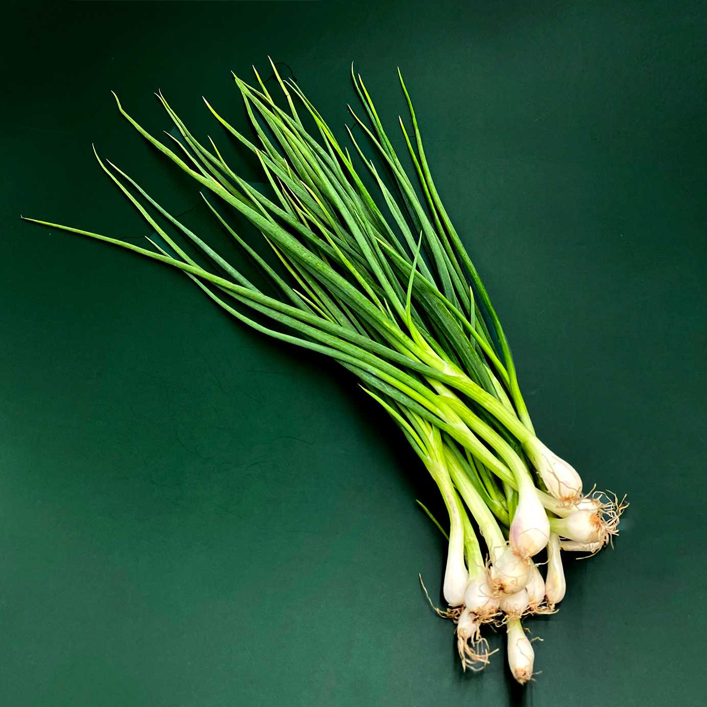 ต้นหอม  Spring Onion /100g.