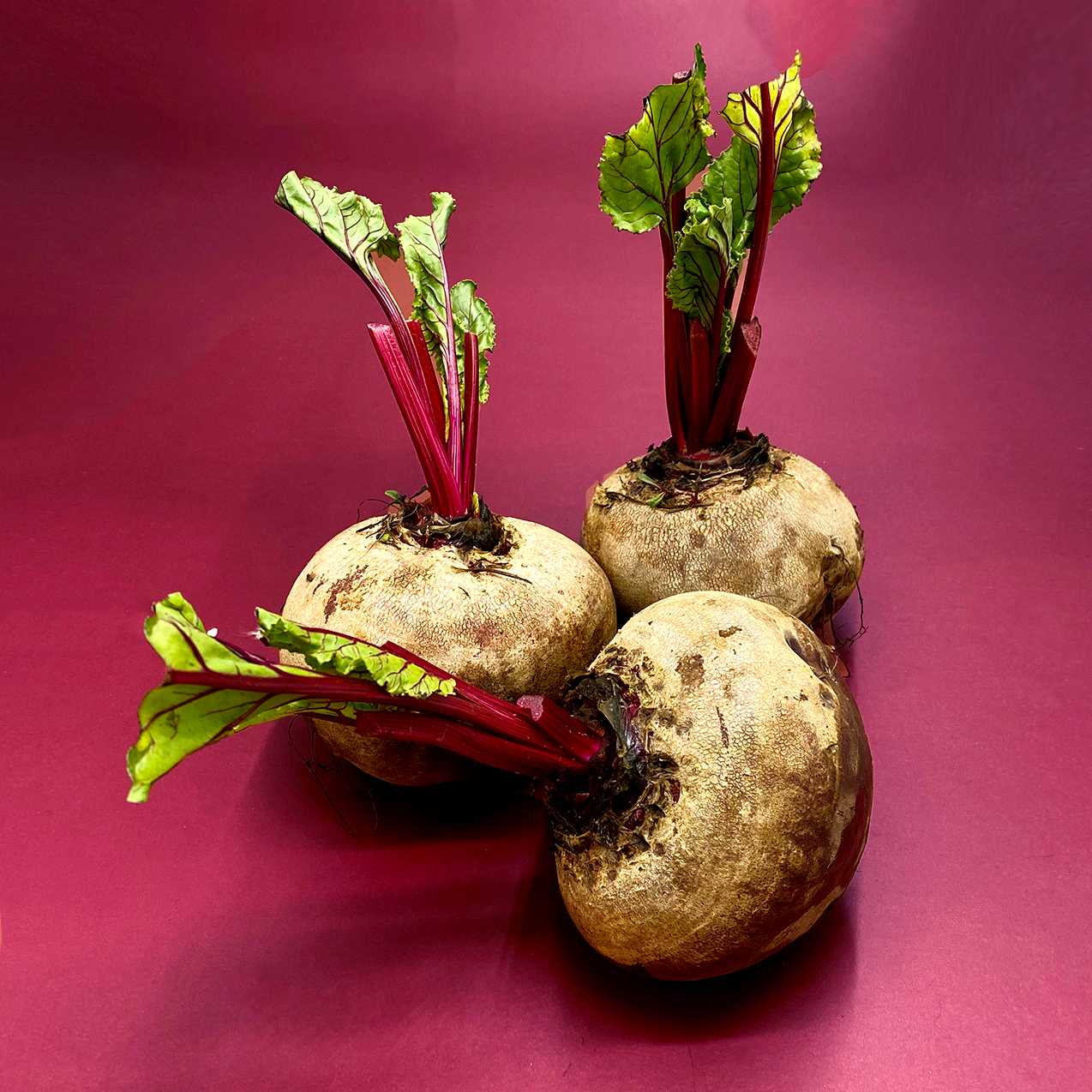 บีทรูท  Beetroot /Kg.