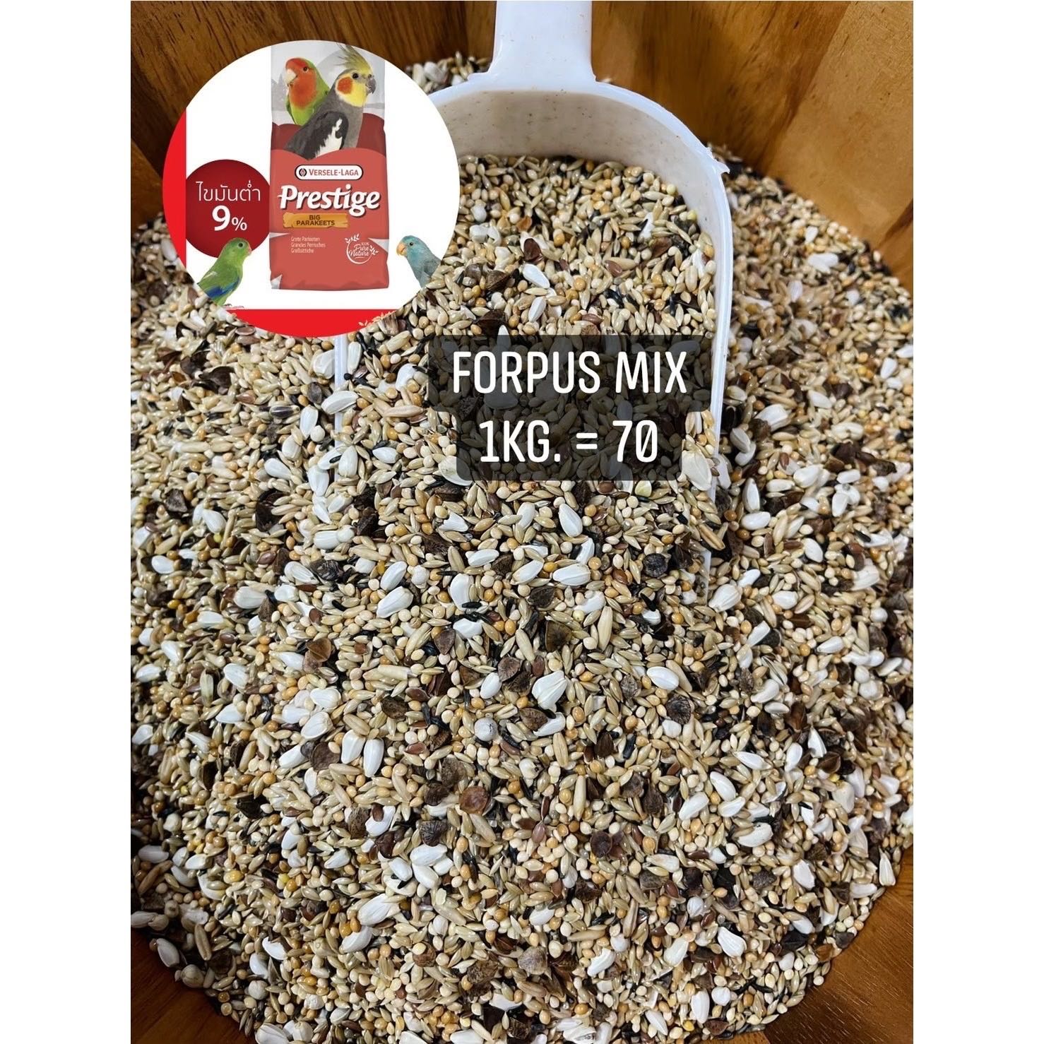 อาหารนกฟอพัส (แบ่งบรรจุ) Prestige Forpus Expert Mix 