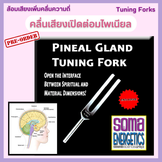 💜 ส้อมเสียงเพิ่มคลื่นความถี่เปิดต่อมไพเนียลแกรนด์ Pineal Gland Tuning Fork
