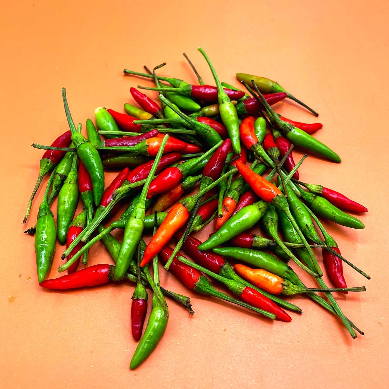 พริกขี้หนูสวน Chilli Padi /50g.