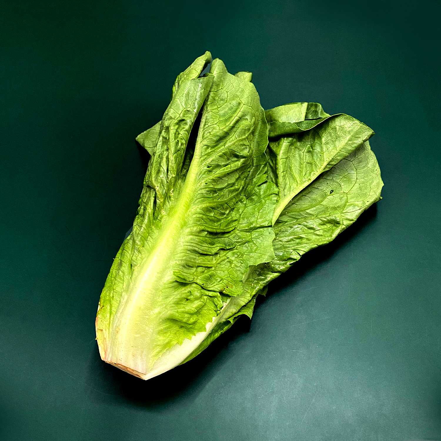 คอสโรเมน  Cos Romaine /Pc.