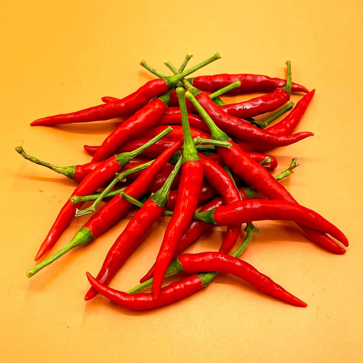 พริกแดงจินดา Red Chinda Chilli /50g.